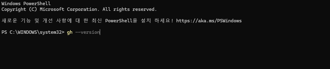 GitHub 계정과 GitHub CLI 상태 확인
