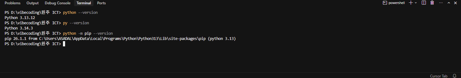 Cursor Python 인터프리터 선택