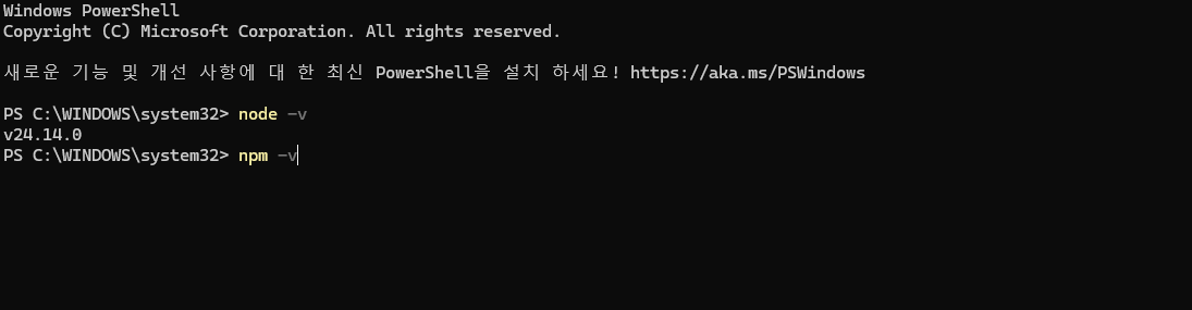 Node.js LTS와 npm 버전 확인
